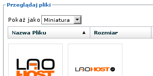 przeglądanie plików